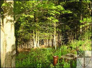 [The early morning sun bre...]