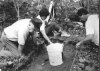 [thumbnail: Archaeological team exami...]